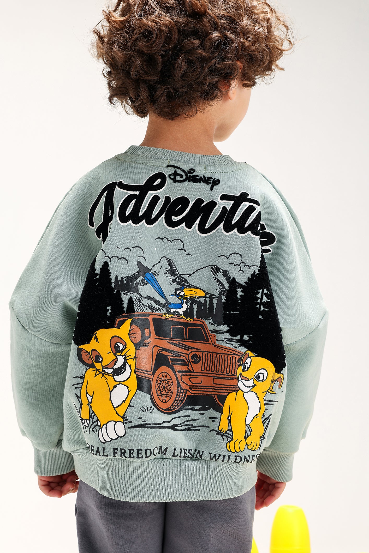 Boys’ The Lion King Sweatshirt Mint – Premium Cotton Melton Casual Wear