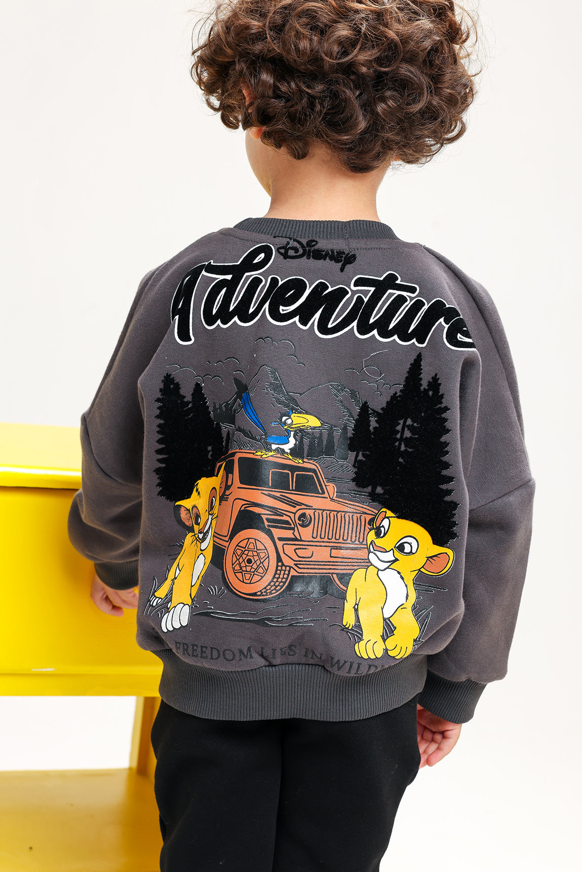 Boys’ The Lion King suit – Premium Cotton Melton Casual Wear