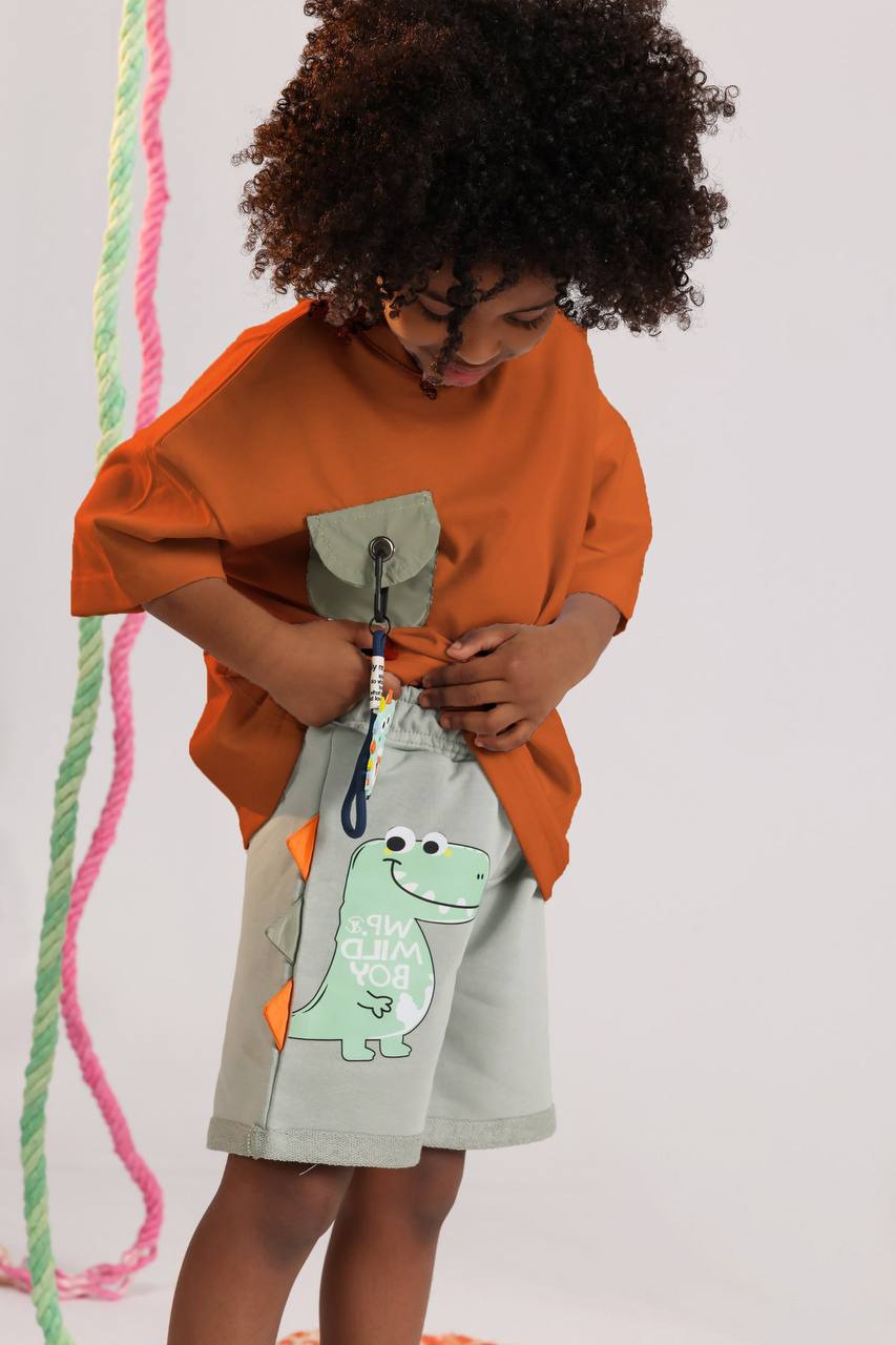 Boys Dino Adventure Summer Set – Rust Oversized Tee & Sage Shorts